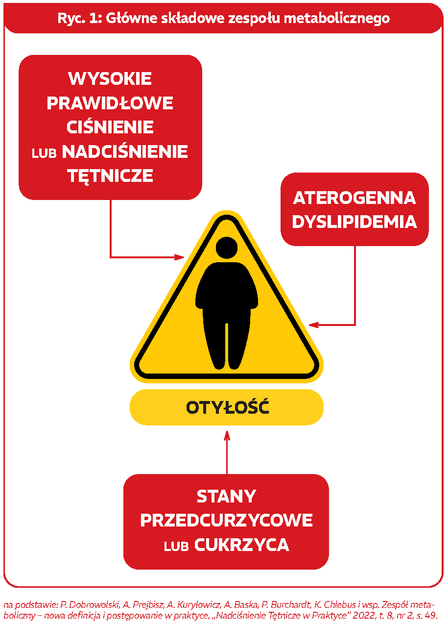 raport-zespol-metaboliczny_infografika1