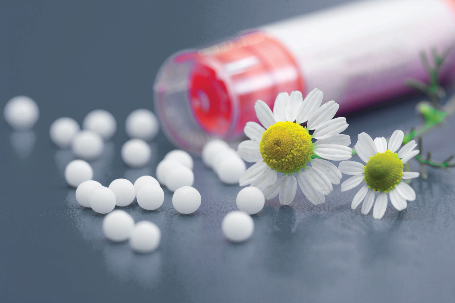 studia podyplomowe homeopatia na Śląskim Uniwersytecie Medycznym