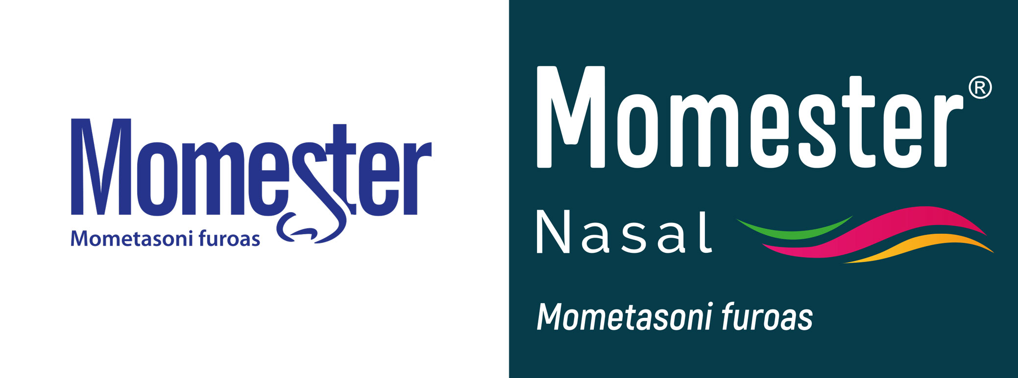 logotypy-momester